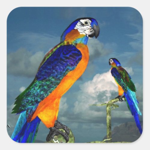 HYPER PARROTS  BLUE ARA SQUARE STICKER