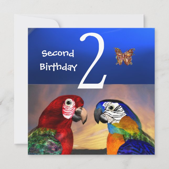 HYPER PARROTS / First Birthday Party Invitation (Front)