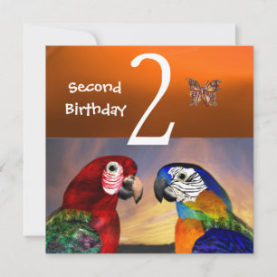 HYPER PARROTS / First Birthday Party, Orange Invitation