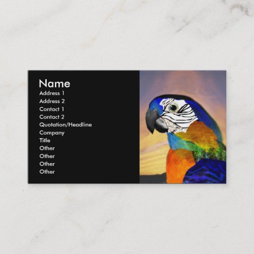 HYPER PARROTS  RED AND BLUE ARA black Business Card