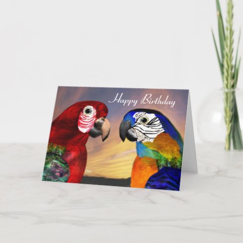 HYPER PARROTS  RED AND BLUE ARA  Happy Birthday Card