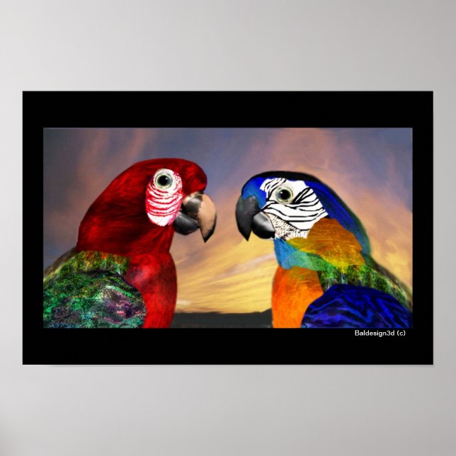 HYPER PARROTS / RED AND BLUE ARA POSTER (Front)