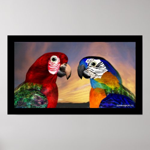 HYPER PARROTS  RED AND BLUE ARA POSTER