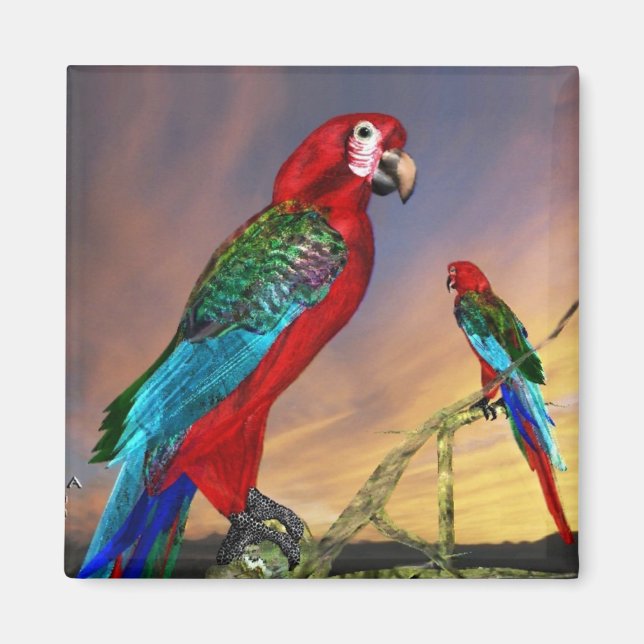 HYPER PARROTS / RED ARA MAGNET (Front)