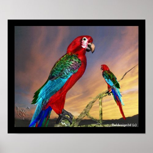 HYPER PARROTS  RED ARA POSTER