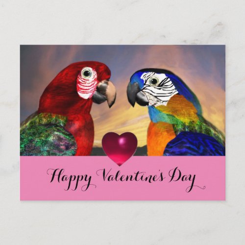 HYPER PARROTSRED BLUE MACAWS Valentines Day Love Holiday Postcard