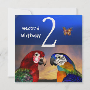 HYPER PARROTS / Second Birthday Party , Champagne Invitation