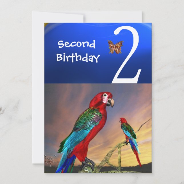 HYPER PARROTS / Second Birthday Party , Champagne Invitation (Front)