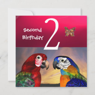 HYPER PARROTS / Second Birthday Party, Fuchsia Invitation