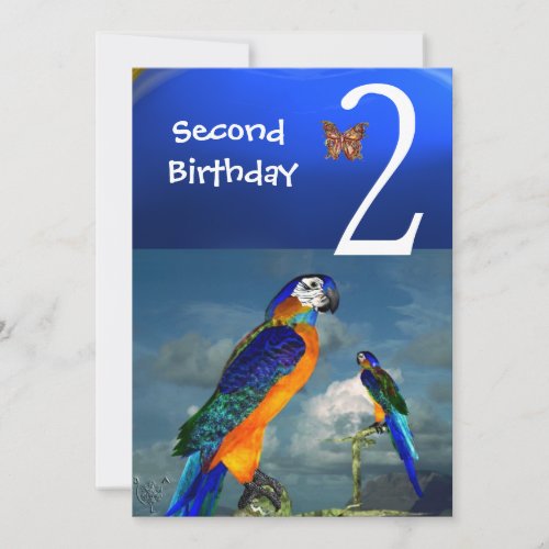 HYPER PARROTS  Second Birthday Party Invitation