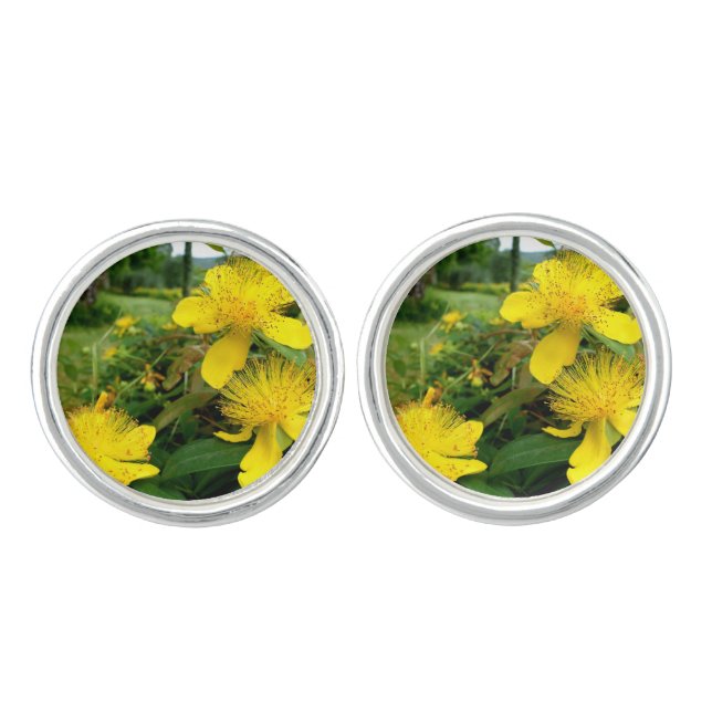 Hypericum calycinum Cufflinks (Front)