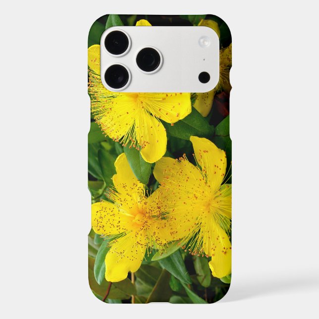 Hypericum calycinum iphone case (Back)
