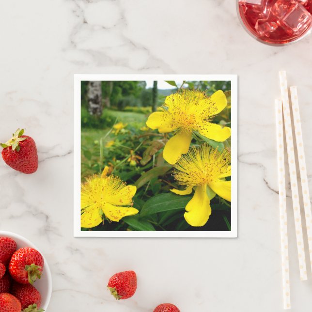 Hypericum calycinum Paper Napkins (Insitu)