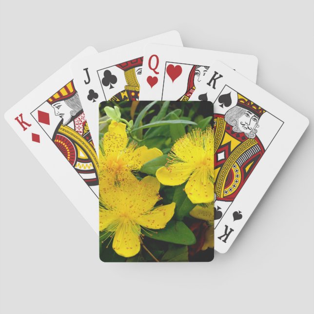 Hypericum calycinum poker cards (Back)