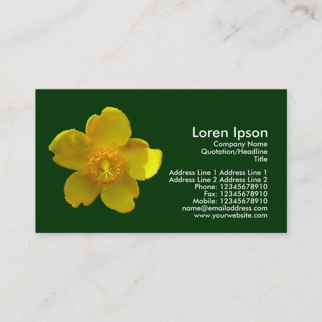 Hypericum Hidcote - Dark Green Business Card (Front)