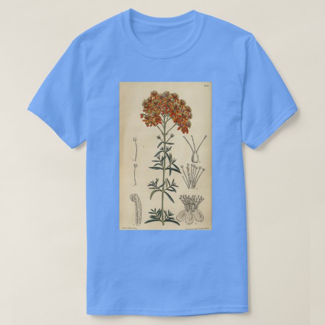 Hypericum laeve rubrum 144 8773 T-Shirt (Design Front)