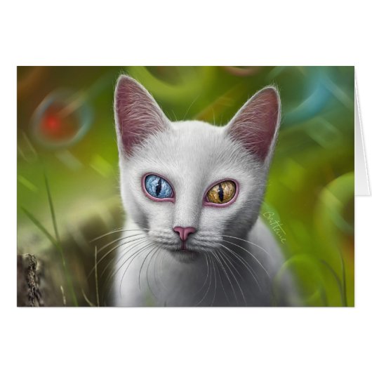 Hypnosis - Van Cat Cards (Front Horizontal)