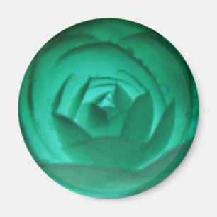 Hypnotic Camellia Flower Magnet