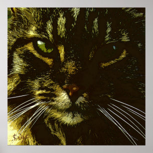 Hypnotizing Cat Digital Art Hypnosis Poster