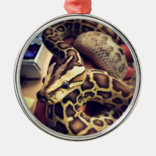 Hypo baby burmese python photo design. metal ornament