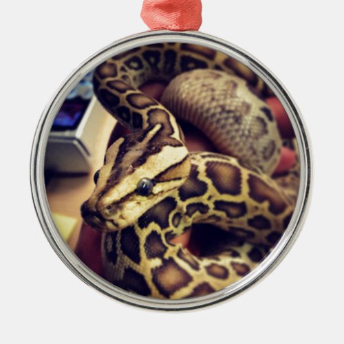 Hypo baby burmese python photo design metal ornament