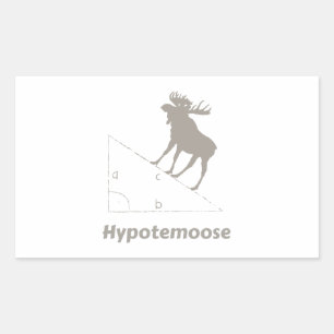 Hypotemoose Math Geek Rectangular Sticker