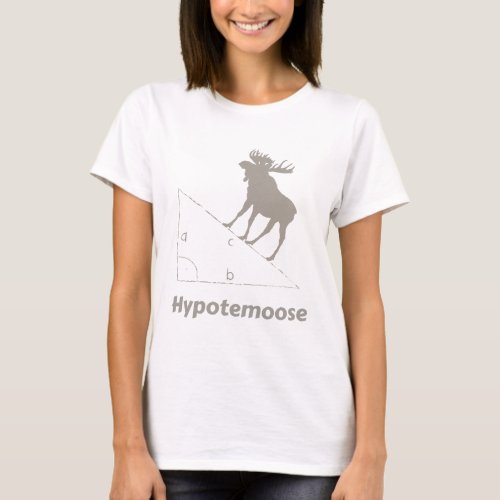 Hypotemoose Math Geek T_Shirt