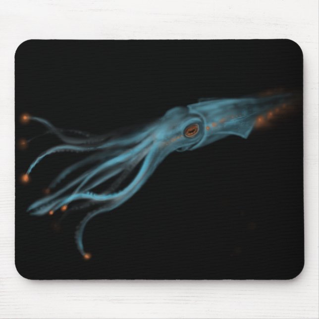 Hypothetical Squid Mousepad (Front)