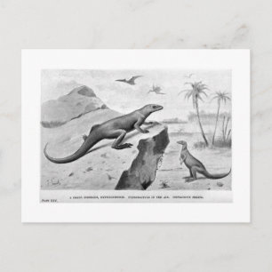 Hypsilophodon art postcard