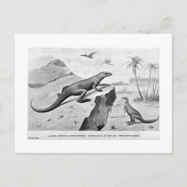 Hypsilophodon art postcard (Front)