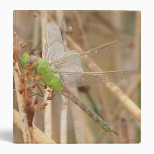 I1 Green Dragonfly Binder
