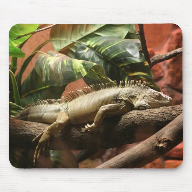 I2 MOUSE PAD (Front)