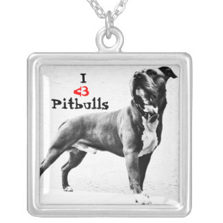 I <3 Pitbulls Necklace