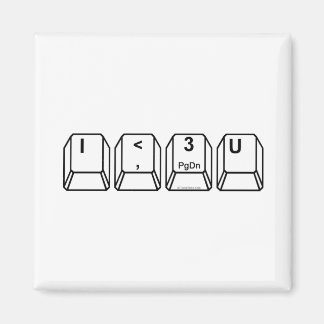 I <3 U MAGNET