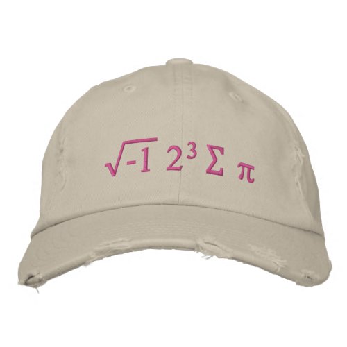 i 8 sum pi _ I Ate Some Pi Funny Math Hat