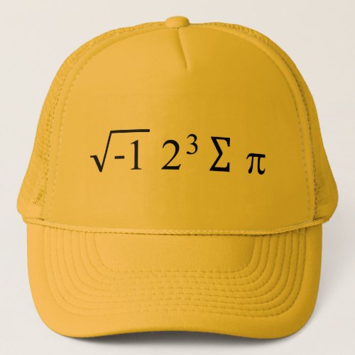 i 8 sum pi _ I Ate Some Pie Funny Math Formula Hat