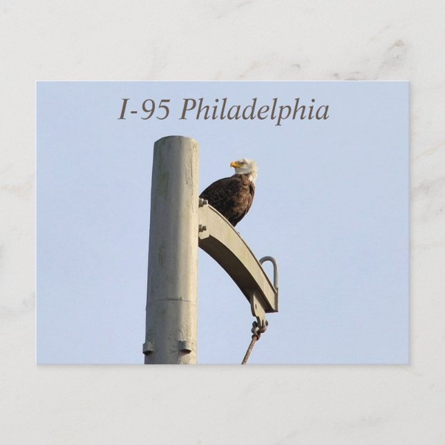I-95 Philadelphia Bald Eagle Postcard (Front)