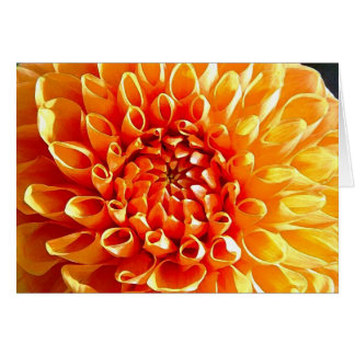 I Adore Dahlias, My Dear Darling Cards