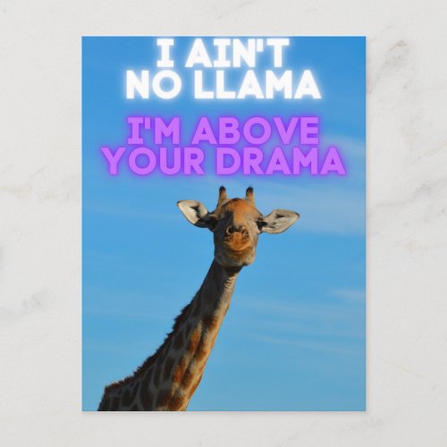 I Aint No Llama Im Above Your Drama Giraffe   Postcard