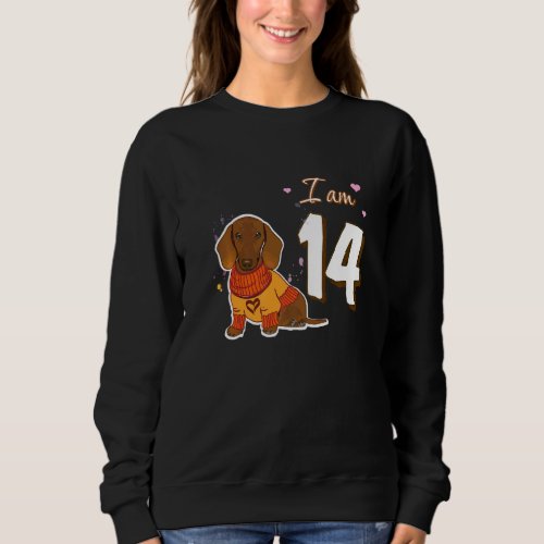 I Am 14 Birthday Cute Dachshund Dog Fan Sweatshirt