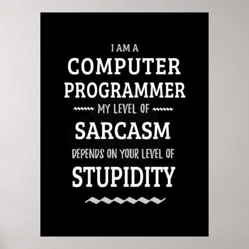 I Am A Computer Programmer Poster