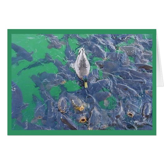 I am a fish... cards (Front Horizontal)