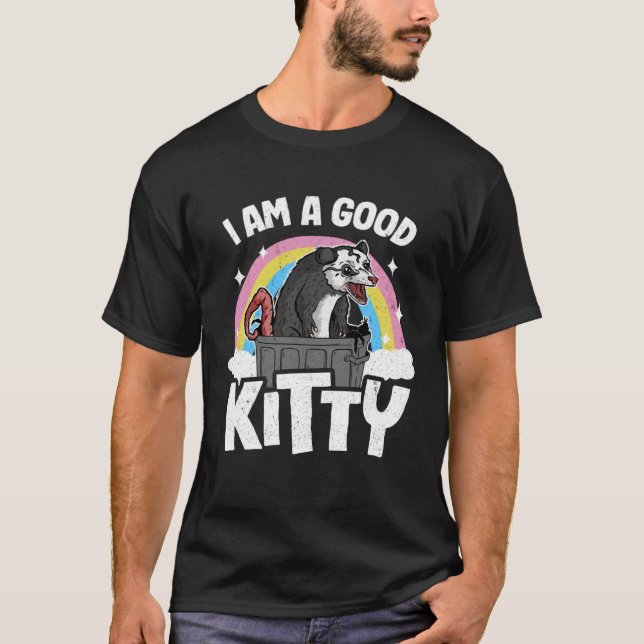 I Am A Good Kitty Street Cat Opossum Rainbow Trash T-Shirt (Front)
