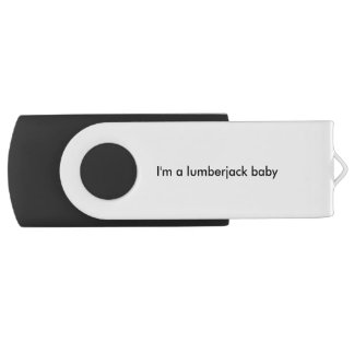 I am a logger flash drive