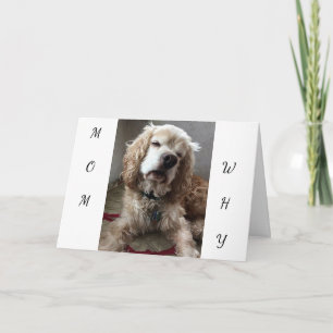 "I AM A LUCKY DOG" to key **YOU** MOM - BIRTHDAY Card