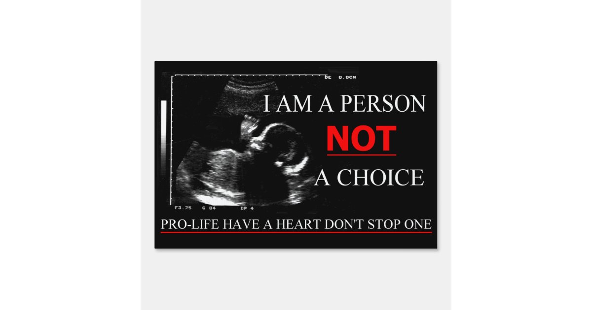 Pro life argumentative essay image