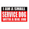 I am a small Service Dog with a Big Job