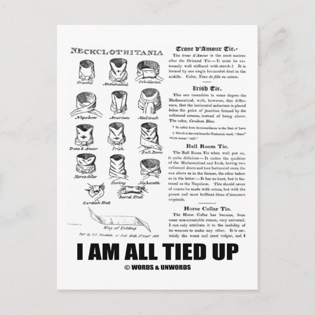 I Am All Tied Up (Tie Knowledge Humor) Postcard (Front)