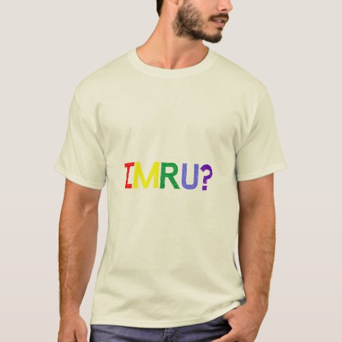 I Am Are You IMRU Rainbow Pride  T_Shirt
