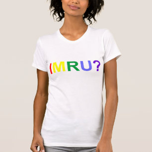 I Am Are You IMRU Rainbow Pride T-Shirt